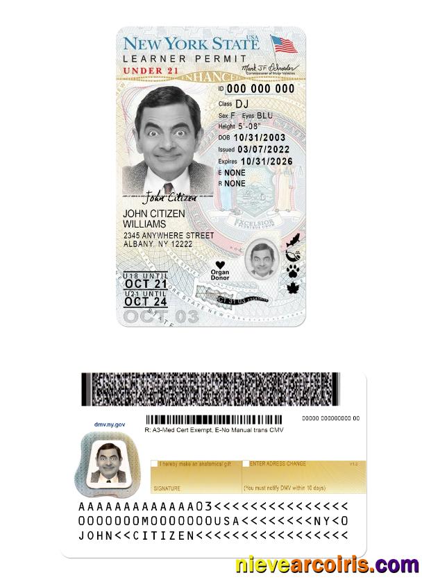 USA New York driving license (version 2)